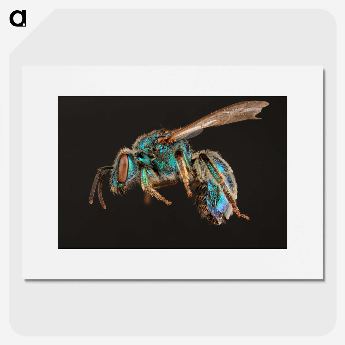 1-47_Insects-Unlocked-Project_picture