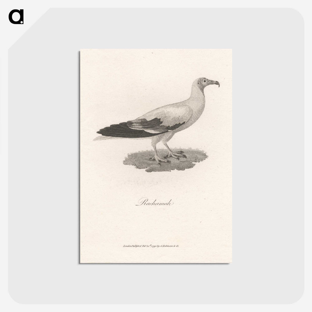 1-47_James-Heath_postcard