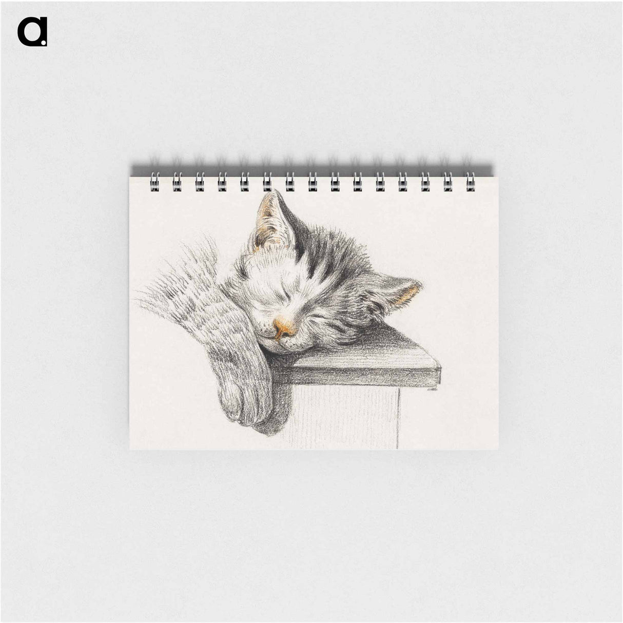 Sketch of a sleeping cat - ジャン ベルナール Memo.