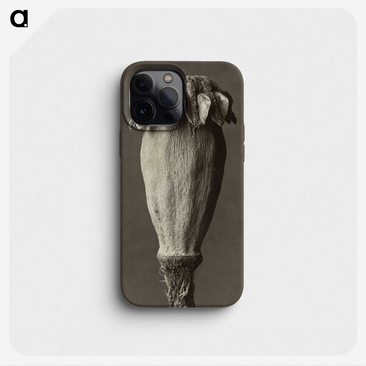 1-47_Karl-Blossfeldt_phone