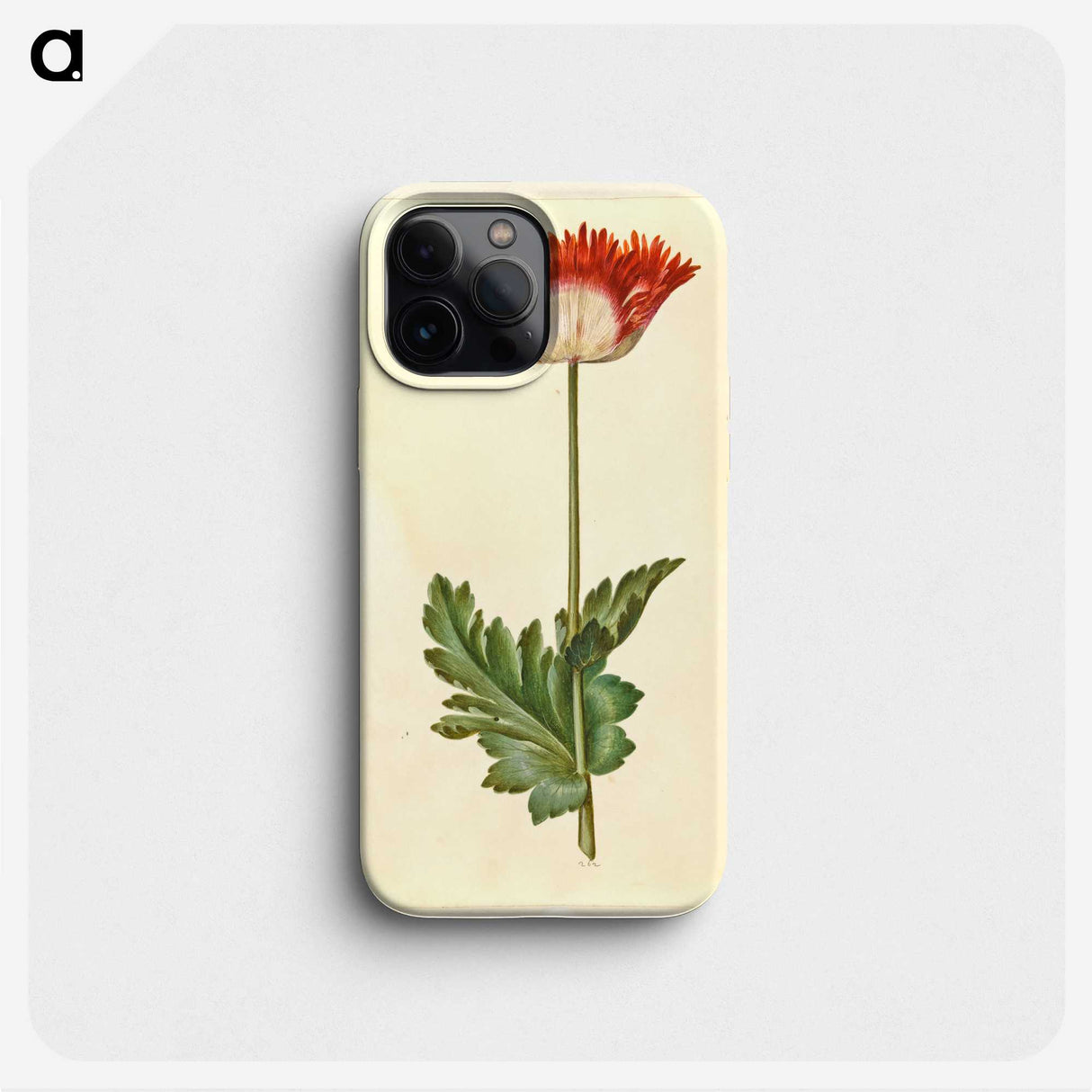 1-47_Maria-Sibylla-Merian_phone