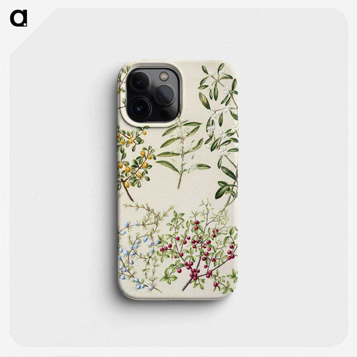 1-47_Native-Flowering-Plants-of-New-Zealand_phone