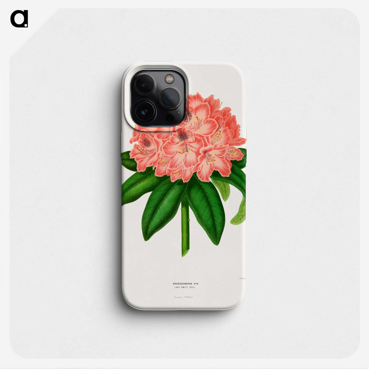 1-47_Nederlandsche-Flora-en-Pomona_phone