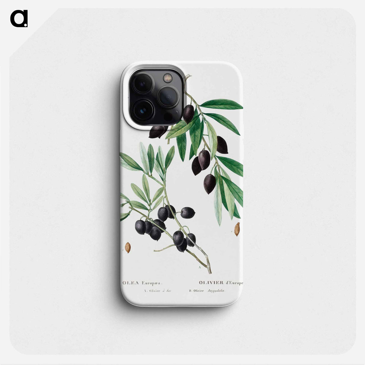 Olive - ピエール ジョゼフ ルドゥーテ Phone Case.