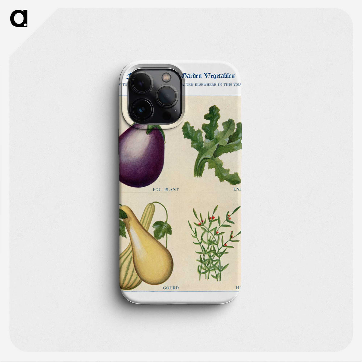 1-47_The-Open-Door-to-Independence_phone