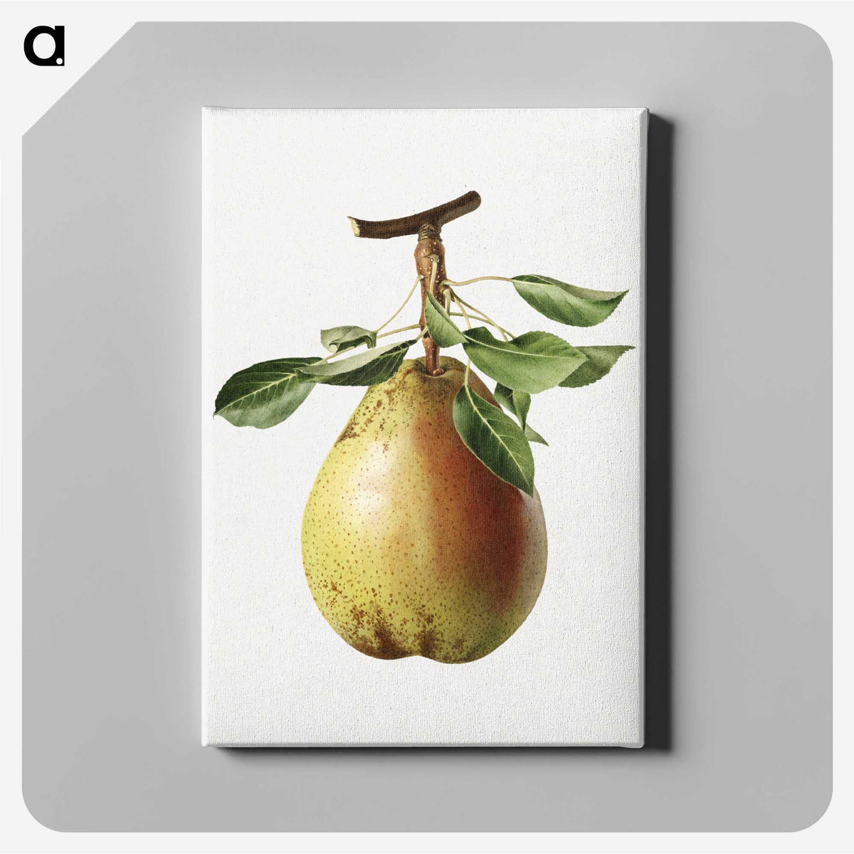 1-47_USDA-Watercolor-Fruit-Painting-Collection_canvas