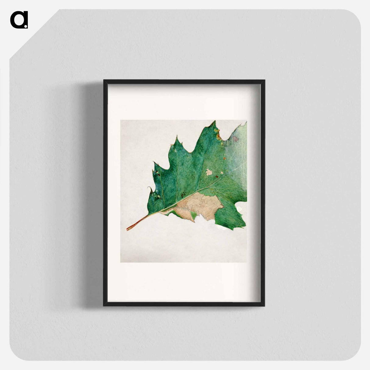 Oligocentra Lignicolor - アボット ハンダーソン セイヤー Poster.