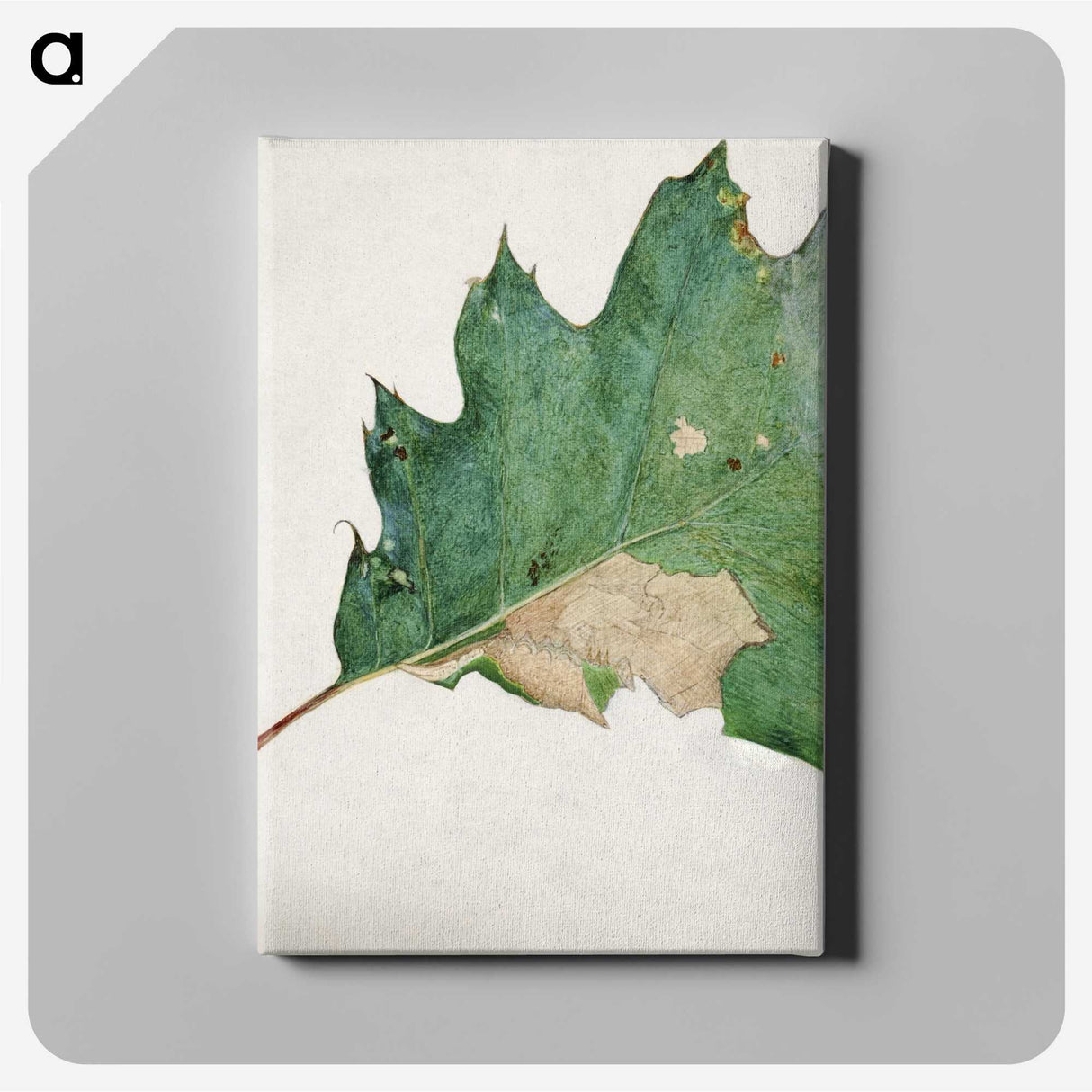 1-48_Abbott-Handerson-Thayer_canvas
