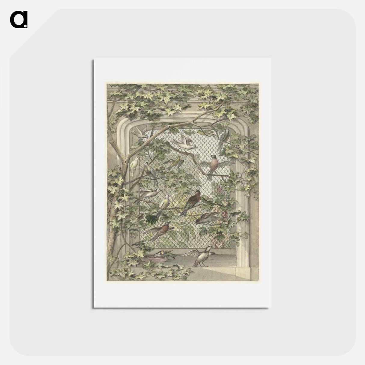 Volière met veertien vogels - アールト シューマン Postcard.