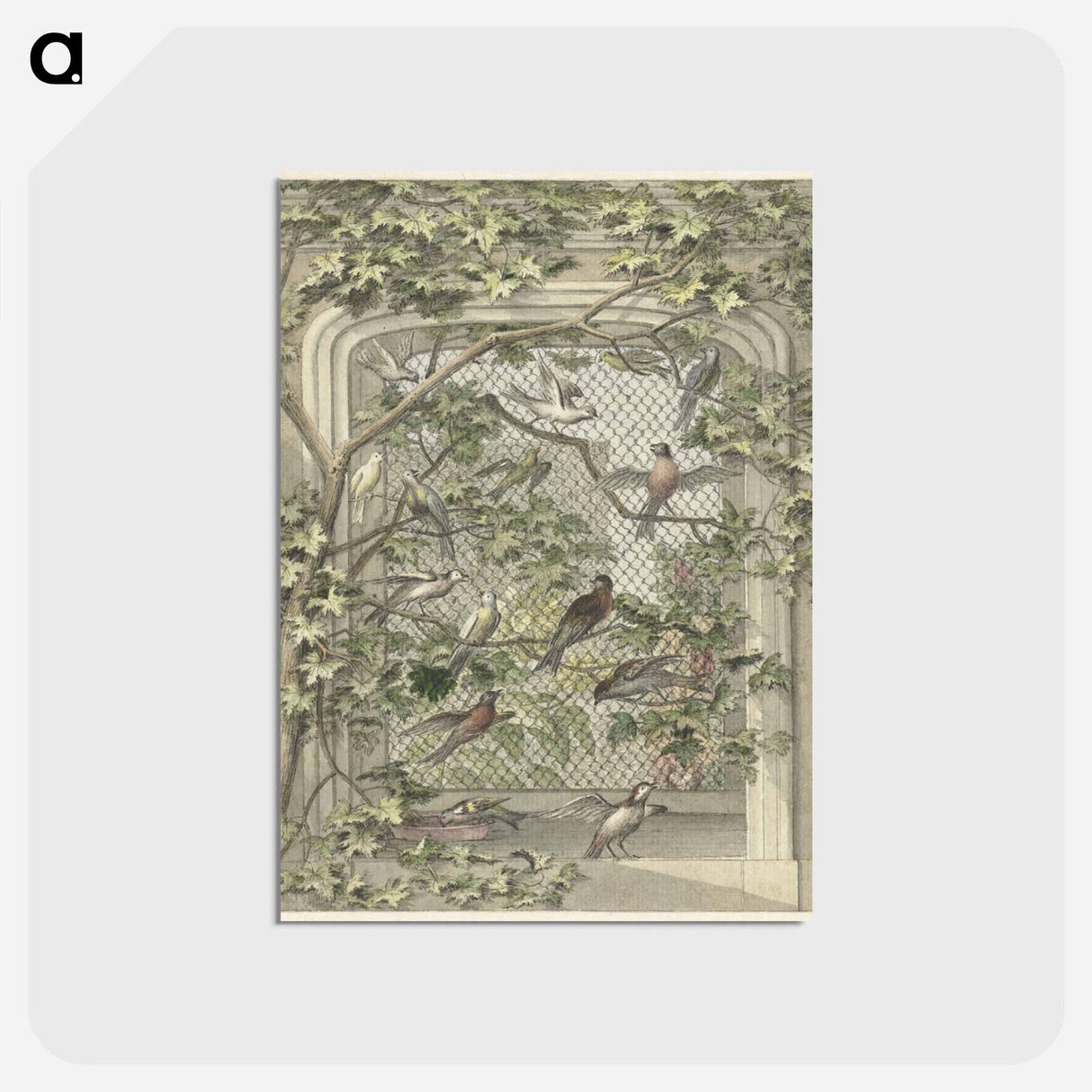 Volière met veertien vogels - アールト シューマン Postcard.