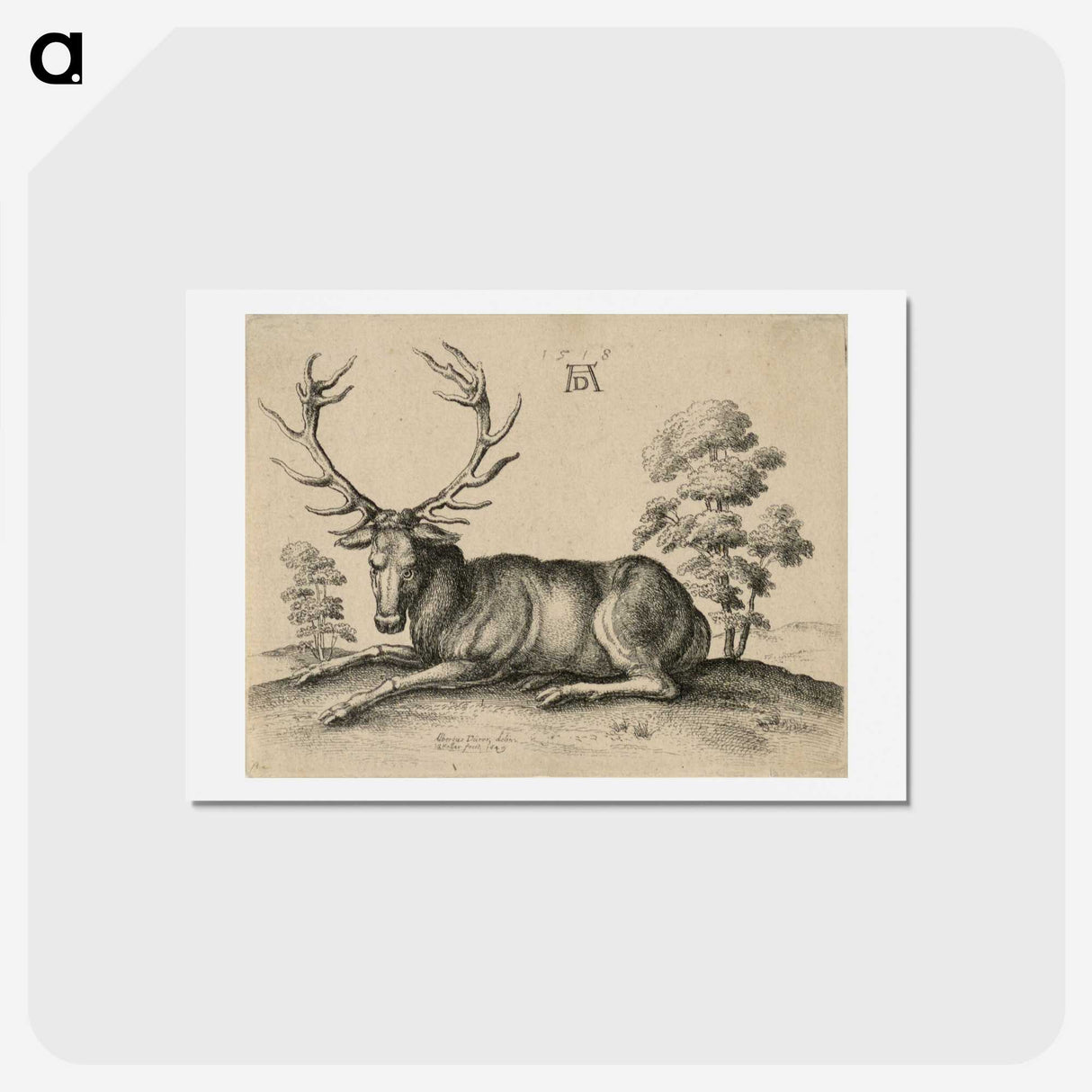 1-48_Albrecht-Durer_hagaki