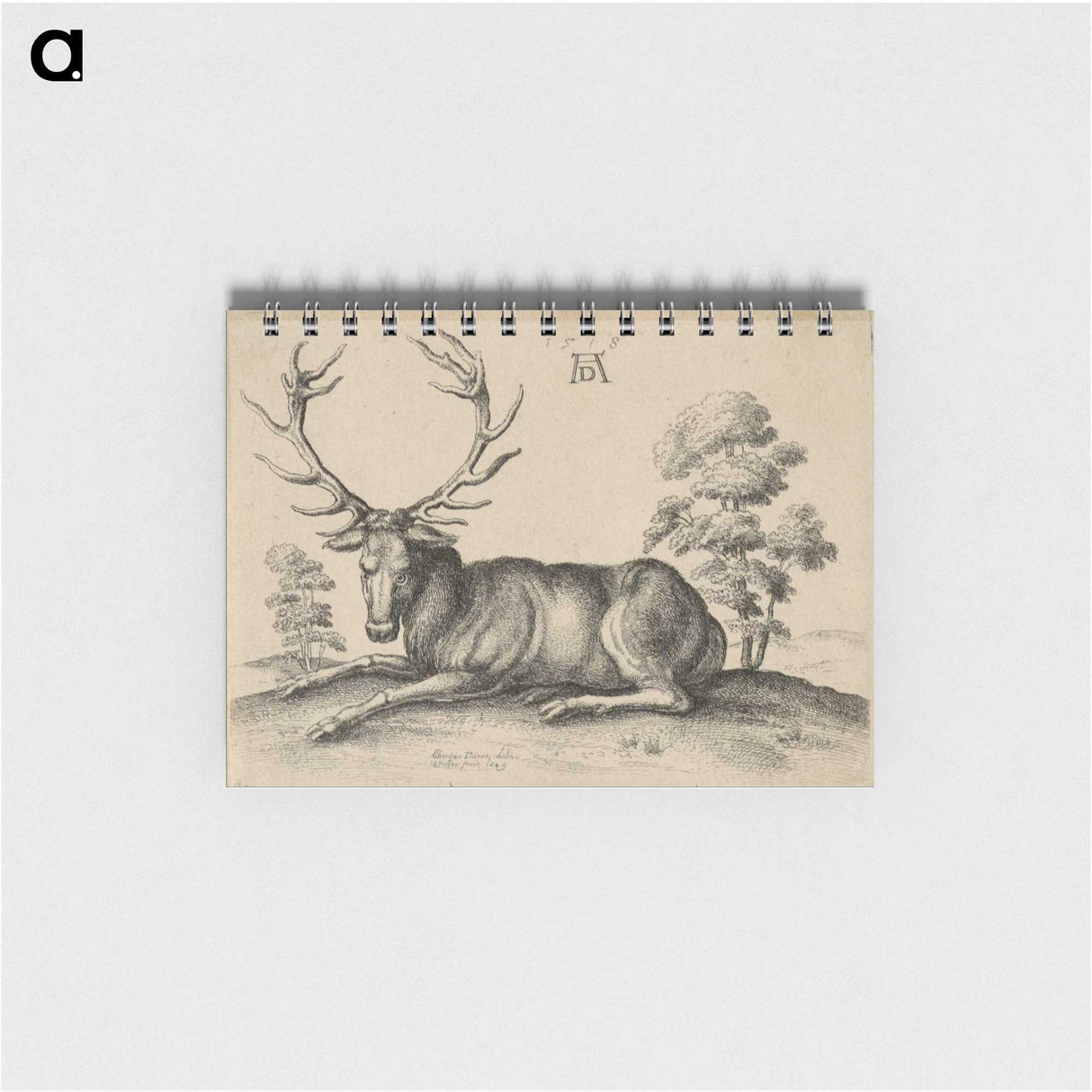 1-48_Albrecht-Durer_memo