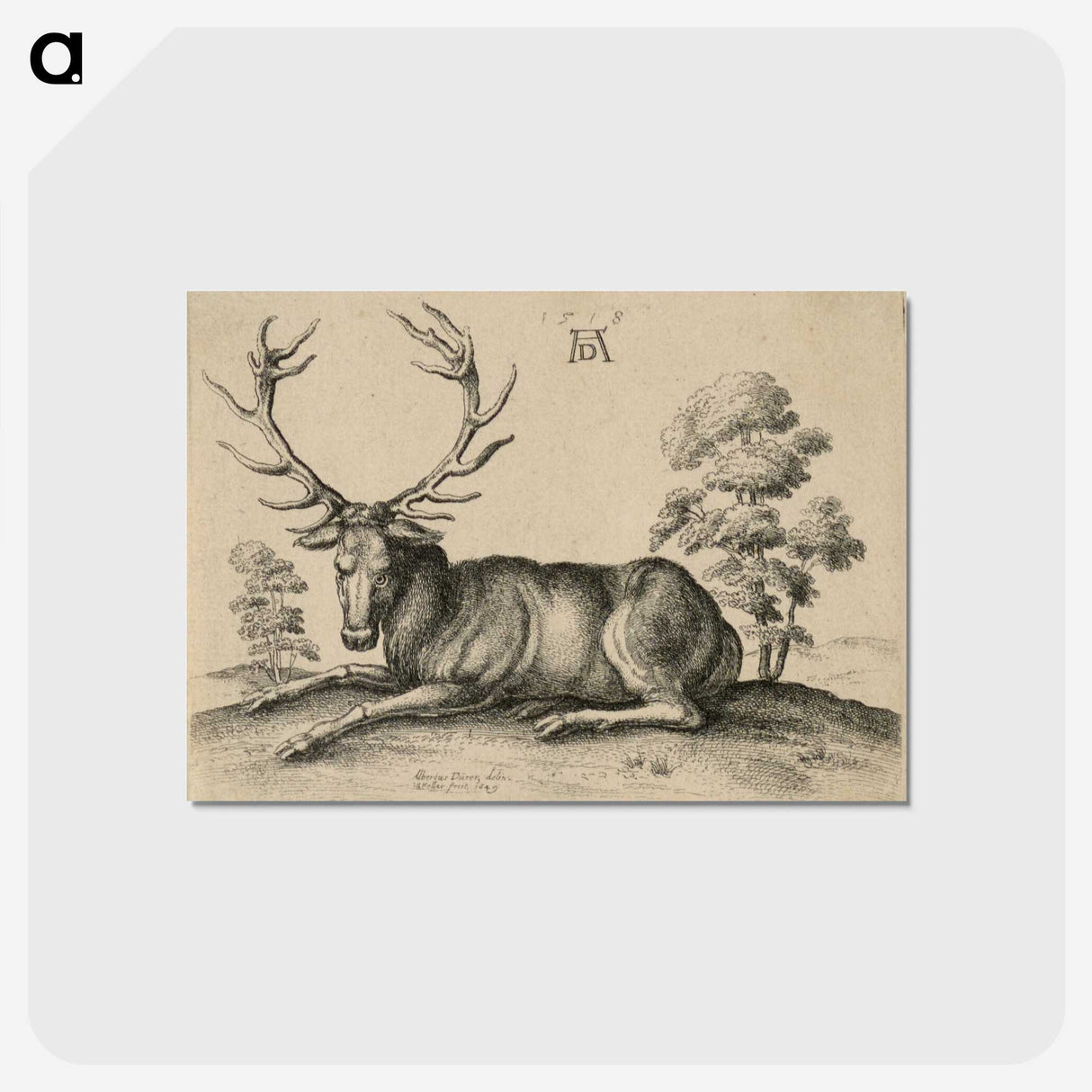 1-48_Albrecht-Durer_postcard