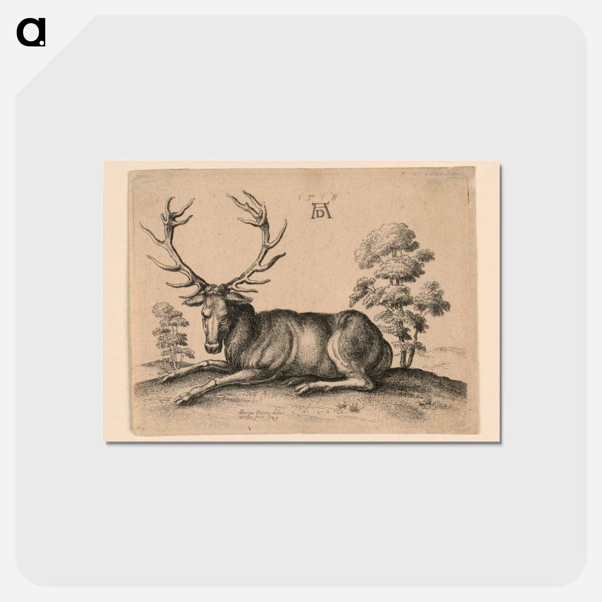 アートポストカード-Stag - アルブレヒト デューラー Postcard.