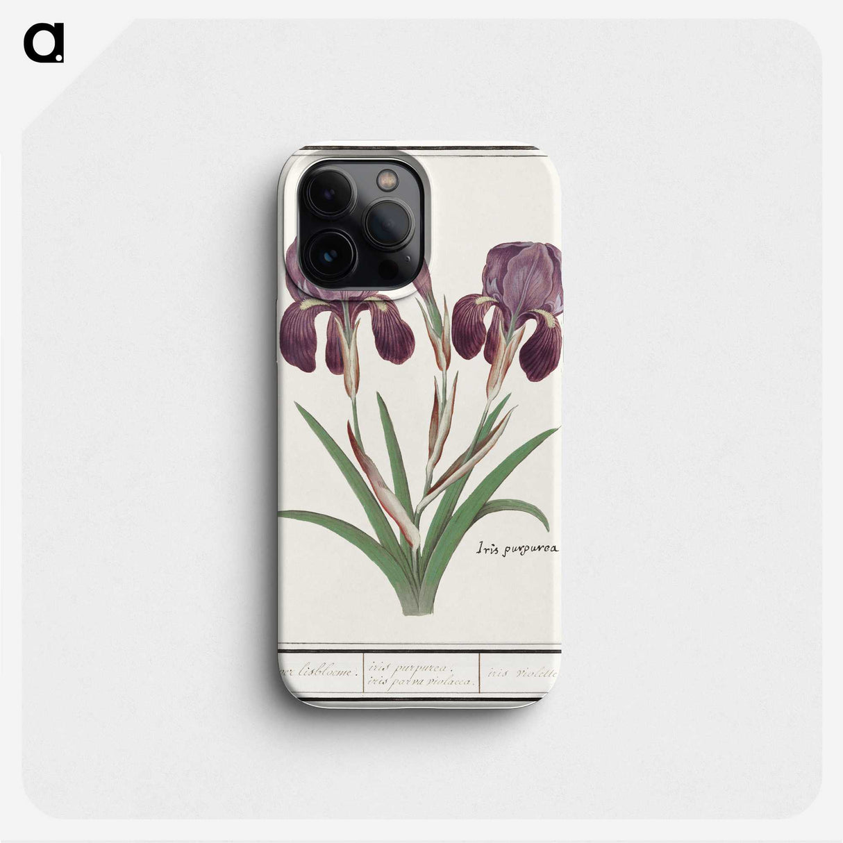 1-48_Anselmus-Boetius-de-Boodt_phone