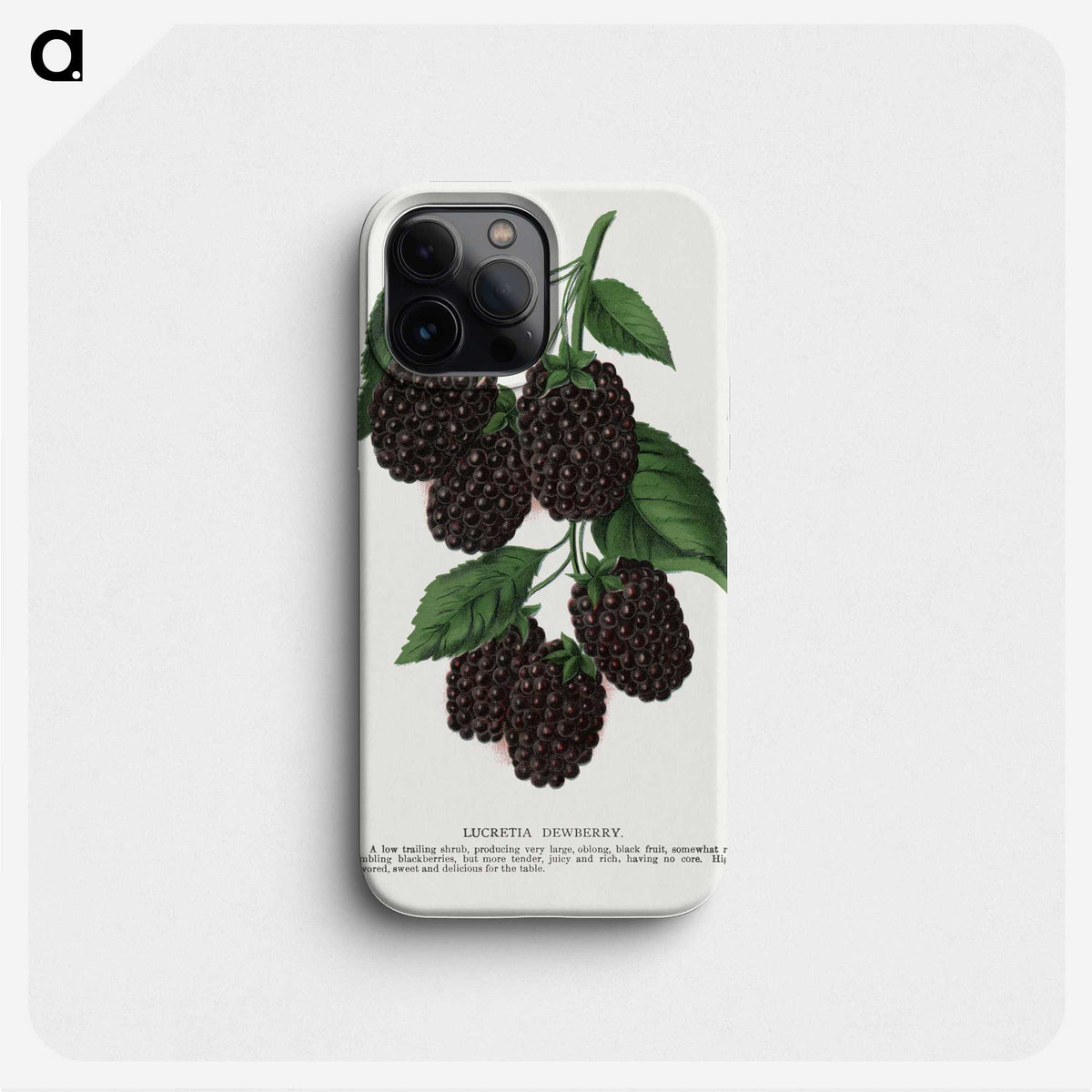 1-48_Botanical-Specimen-Plates_phone