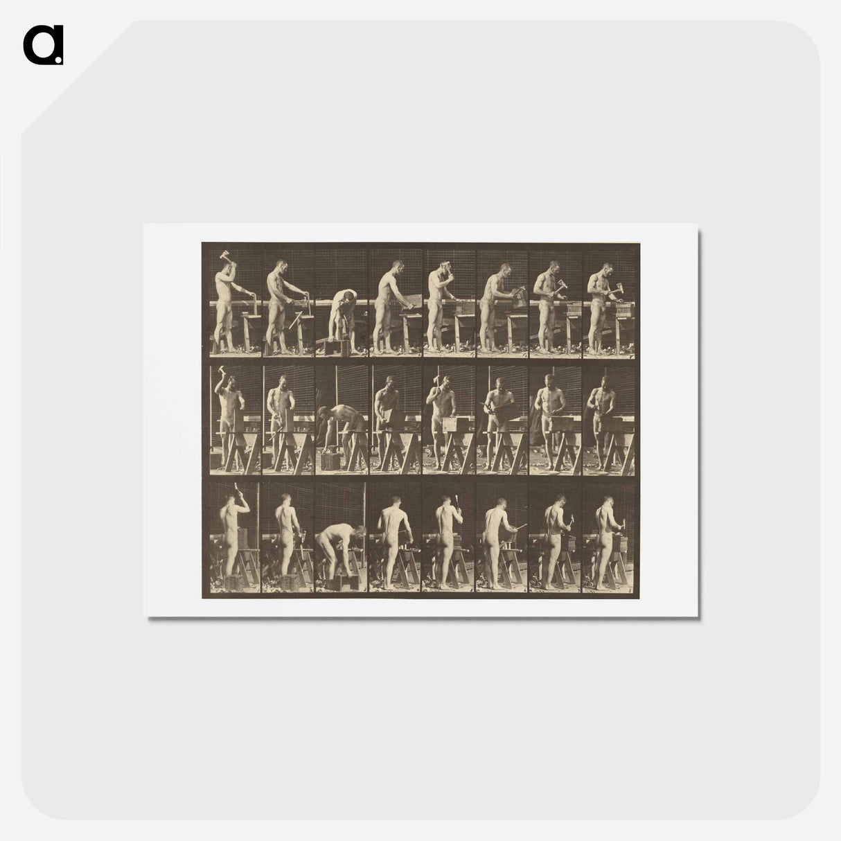 アートポストカード-Animal Locomotion
- エドワード マイブリッジ Postcard.