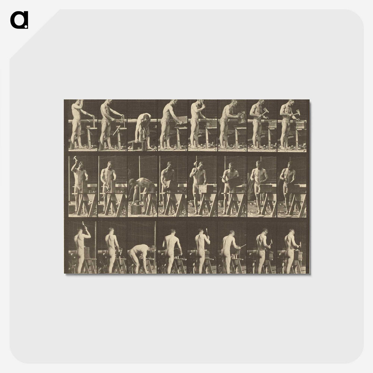1-48_Eadweard-Muybridge_postcard