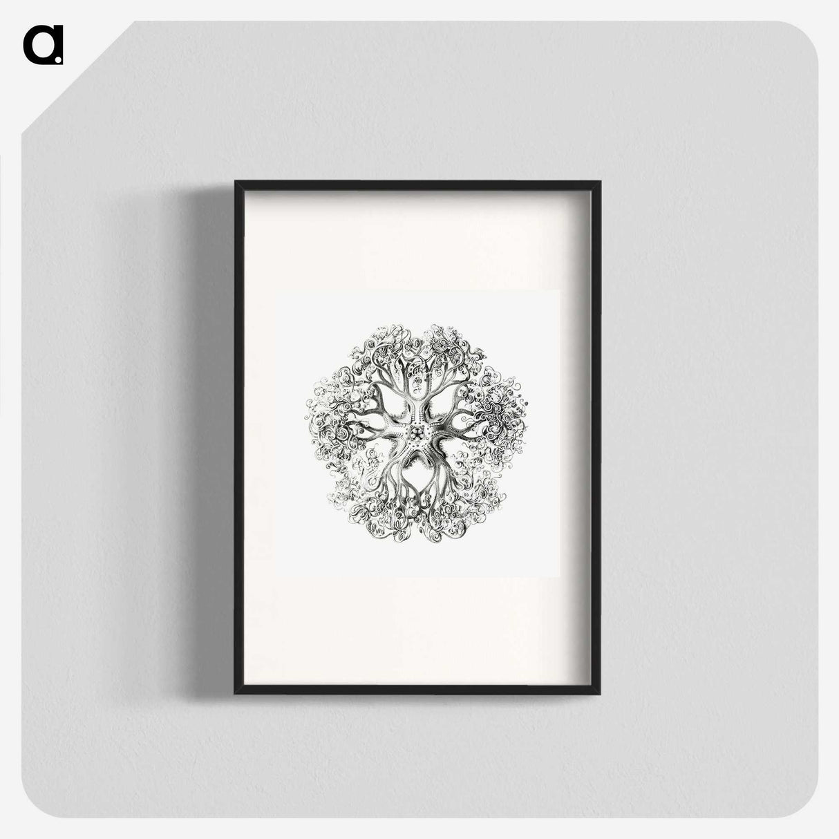 1-48_Ernst-Haeckel_blk