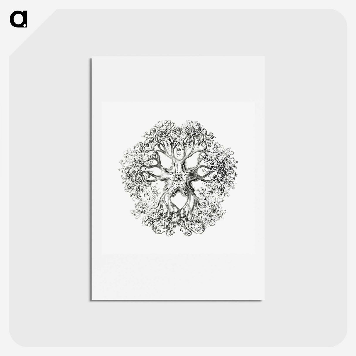 1-48_Ernst-Haeckel_hagaki