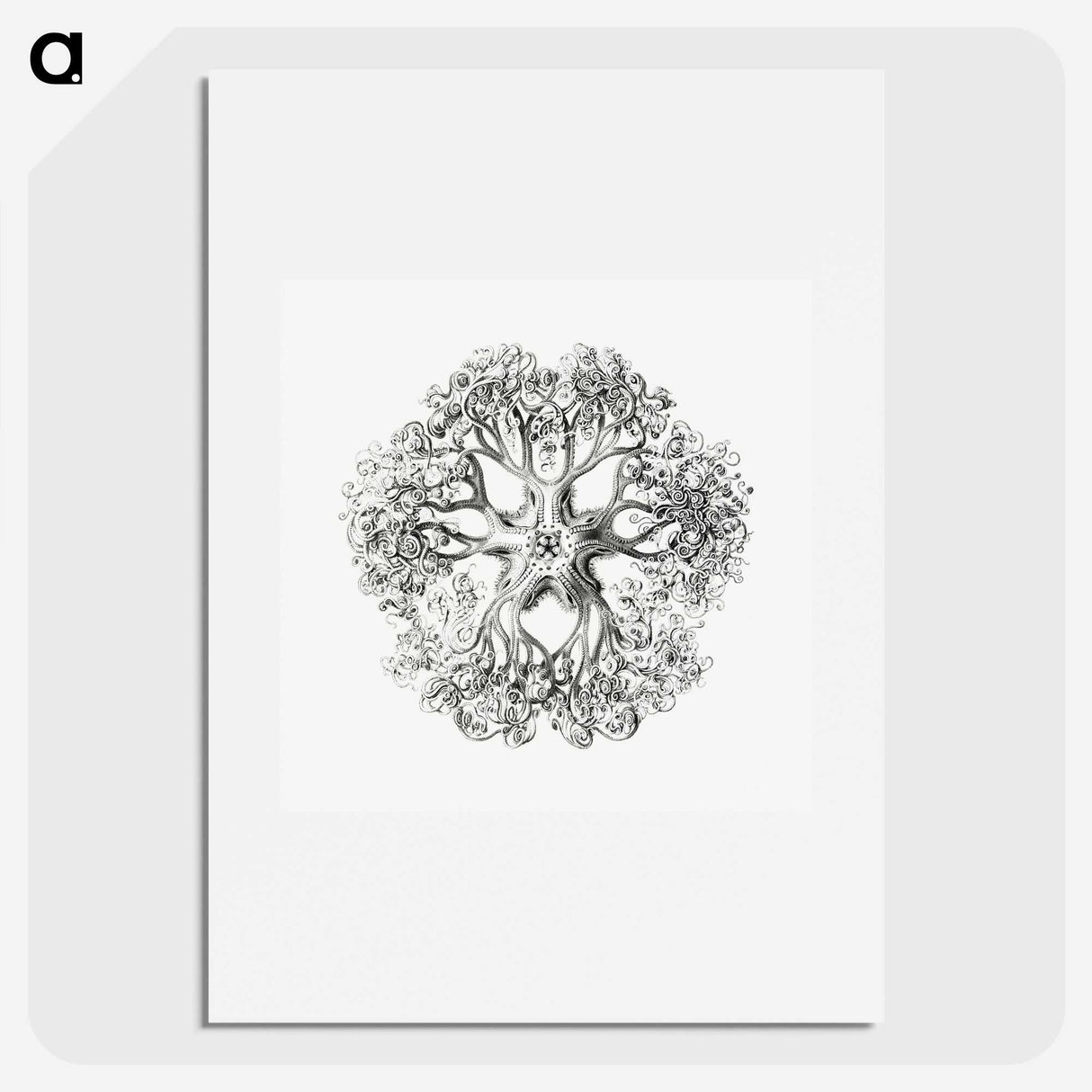 1-48_Ernst-Haeckel_picture