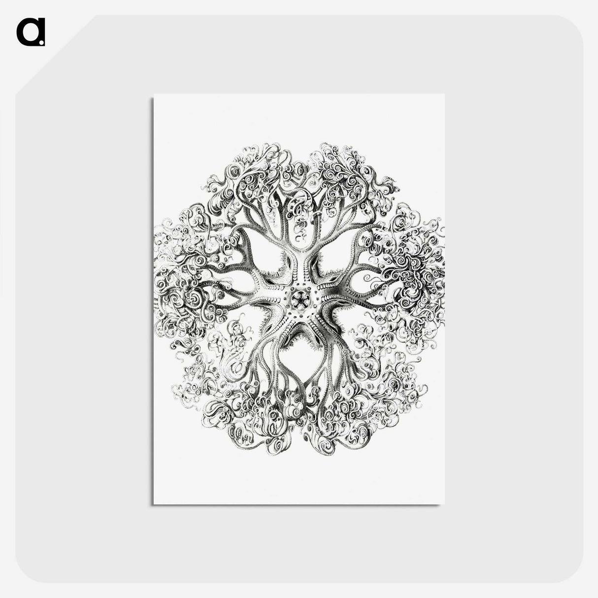 1-48_Ernst-Haeckel_postcard