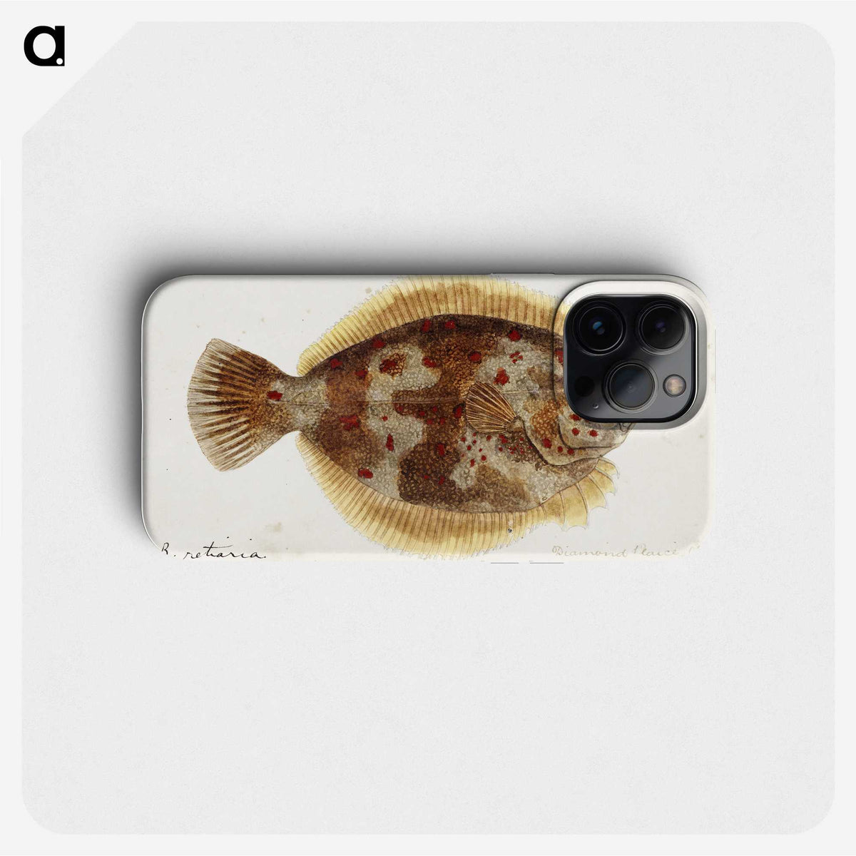 1-48_Frank-Edward-Clarke_phone