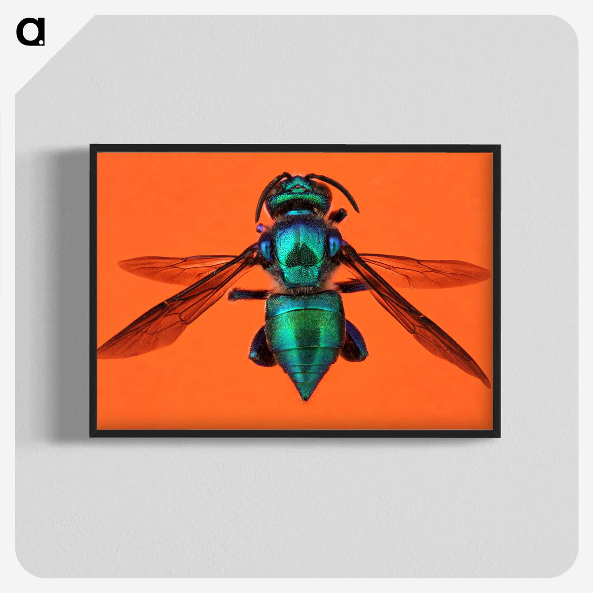 1-48_Insects-Unlocked-Project_blk-crop