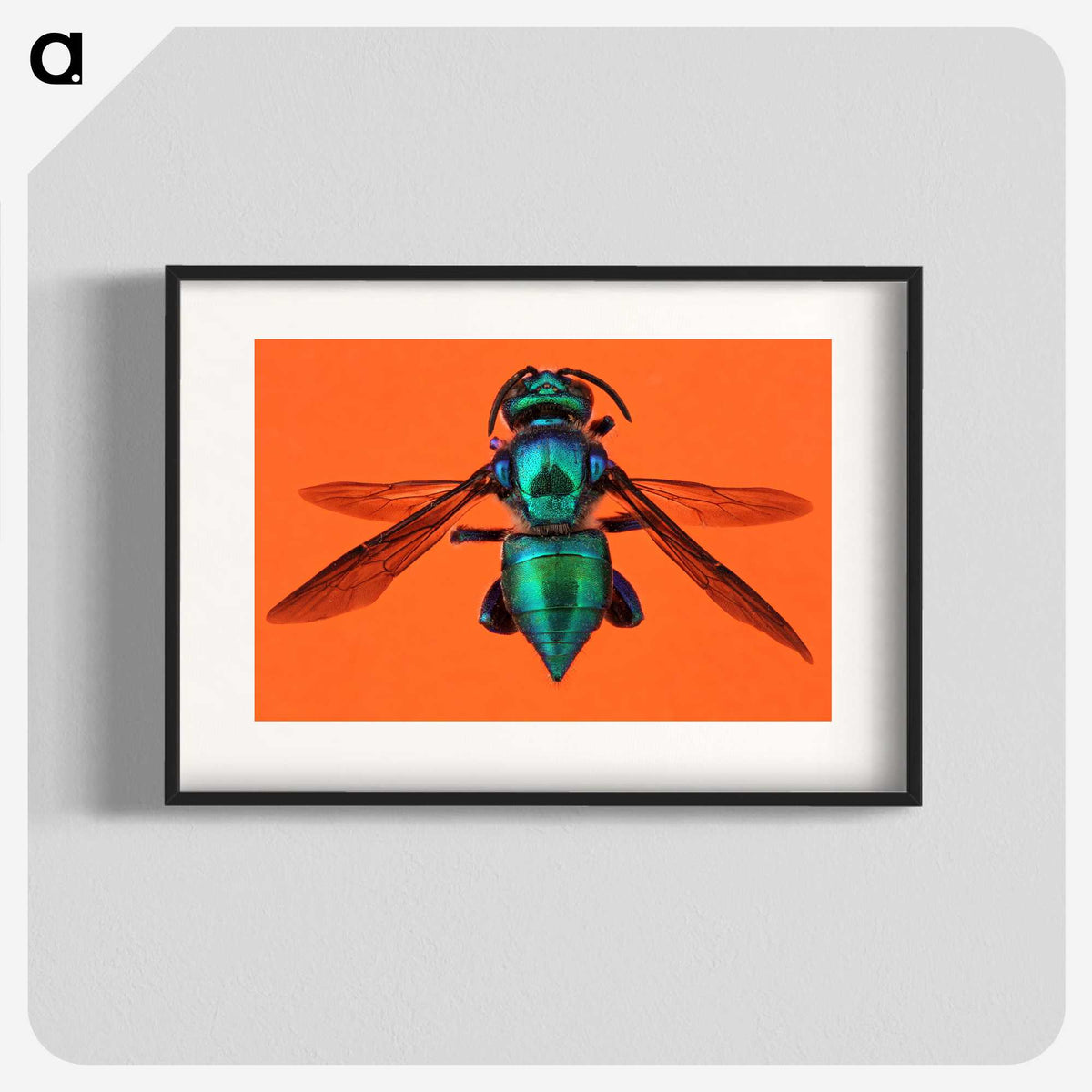 1-48_Insects-Unlocked-Project_blk
