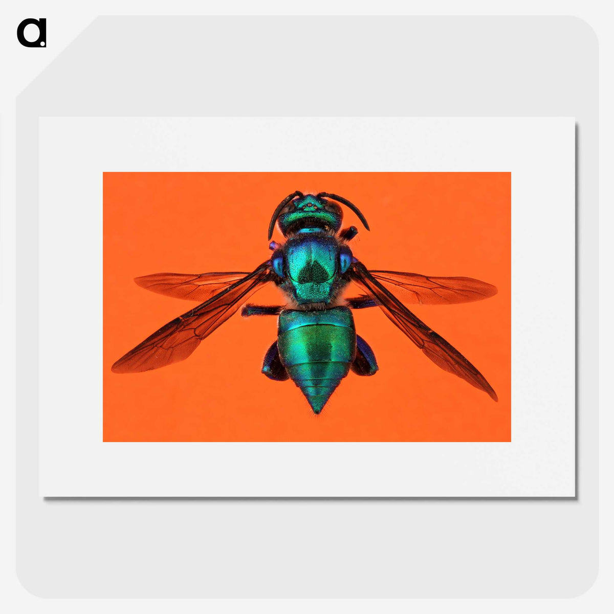 1-48_Insects-Unlocked-Project_picture