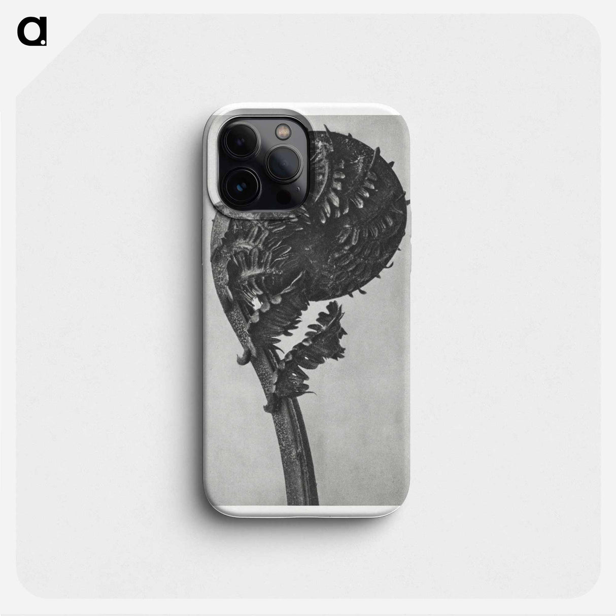 Struthiopteris Germanica - カール ブロスフェルト Phone Case.