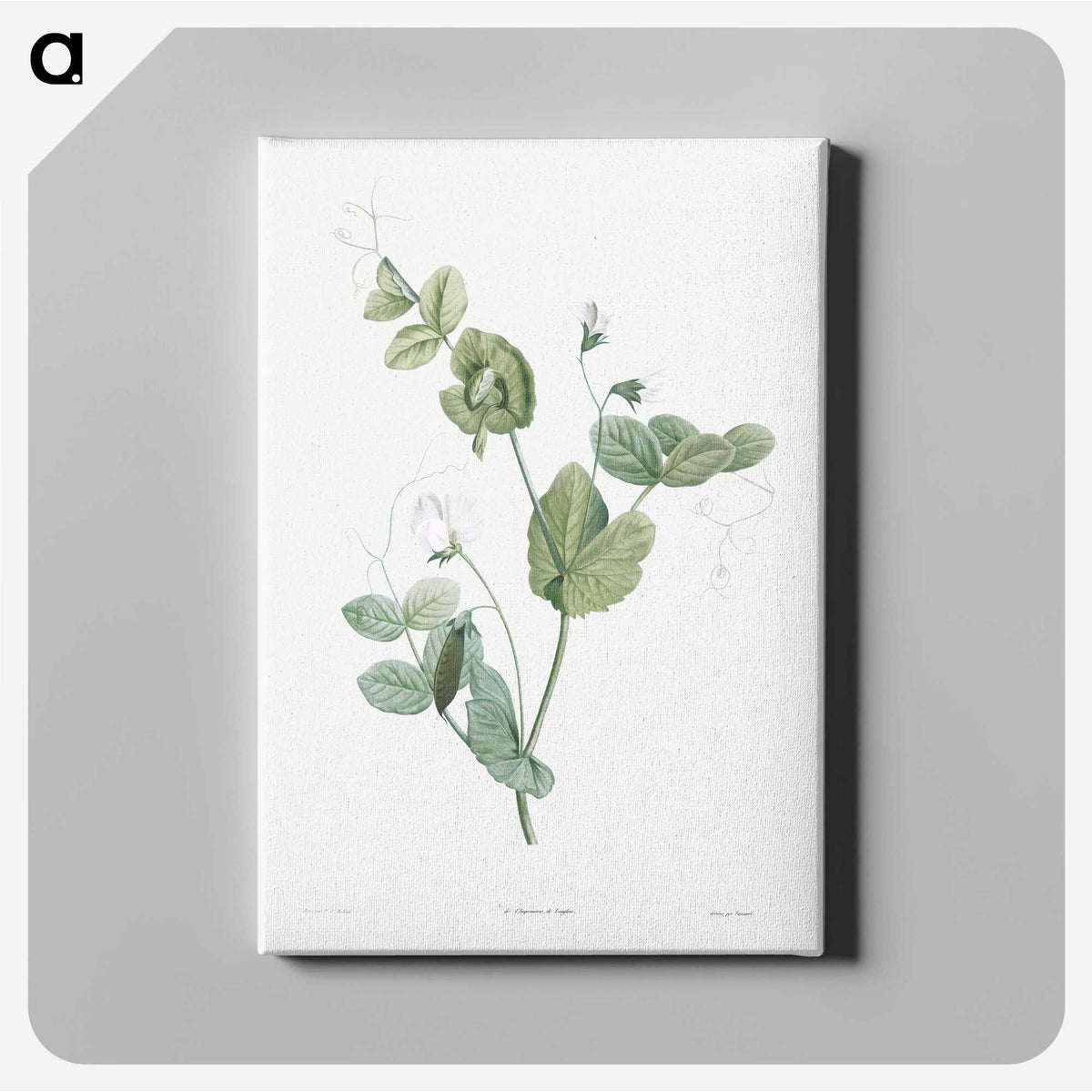 1-48_La-Botanique_canvas