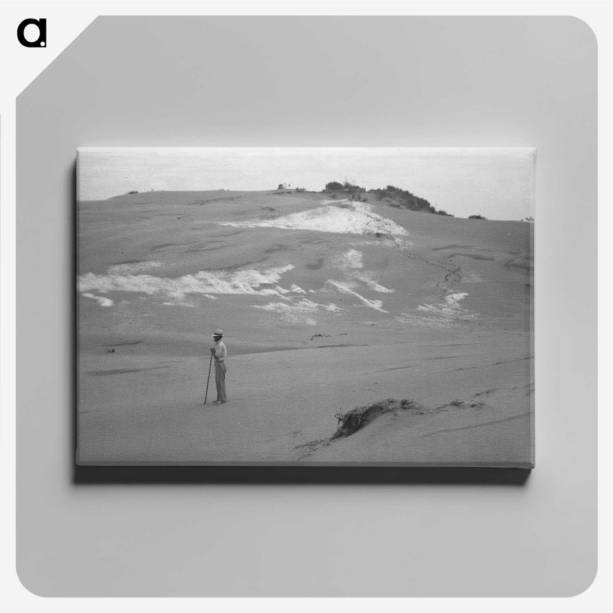 1-48_Leslie-Adkin_canvas
