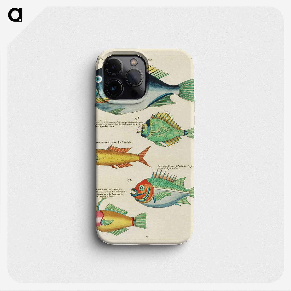 1-48_Louis-Renard_phone