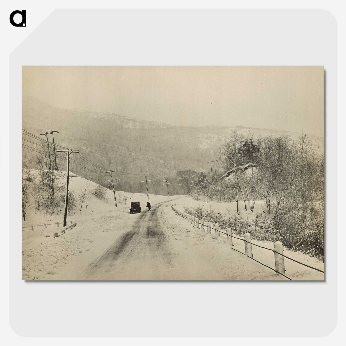 1-48_Marion-Post-Wolcott_picture-crop