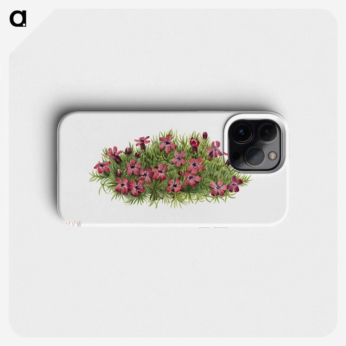 1-48_Mary-Vaux-Walcott_phone