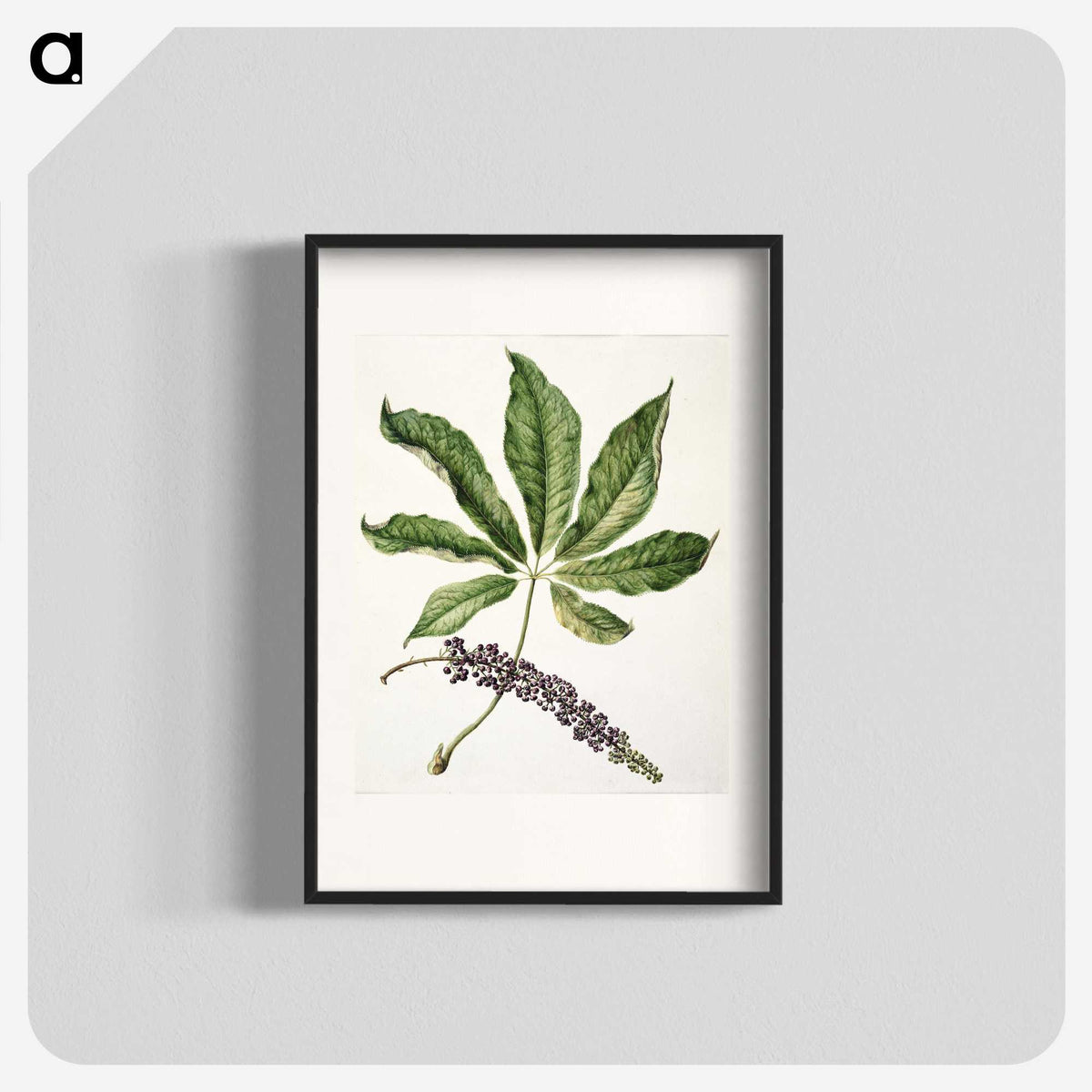 1-48_Native-Flowering-Plants-of-New-Zealand_blk