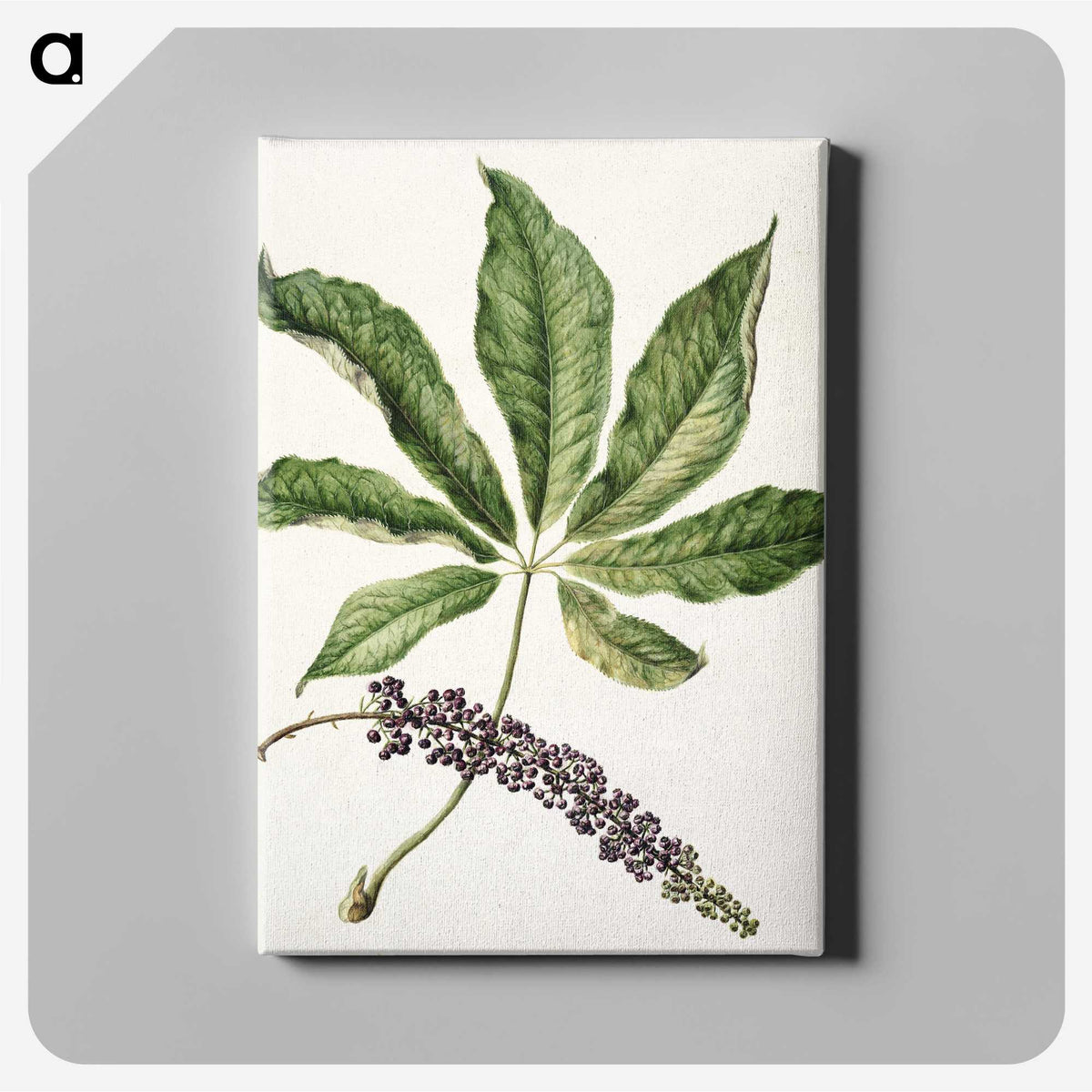 1-48_Native-Flowering-Plants-of-New-Zealand_canvas
