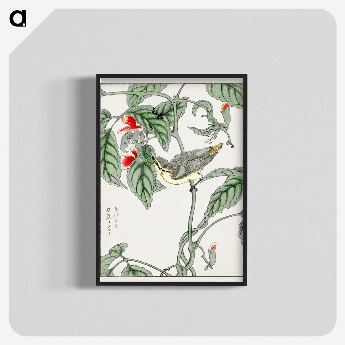 1-48_Pictorial-Monograph-of-Birds_blk-crop