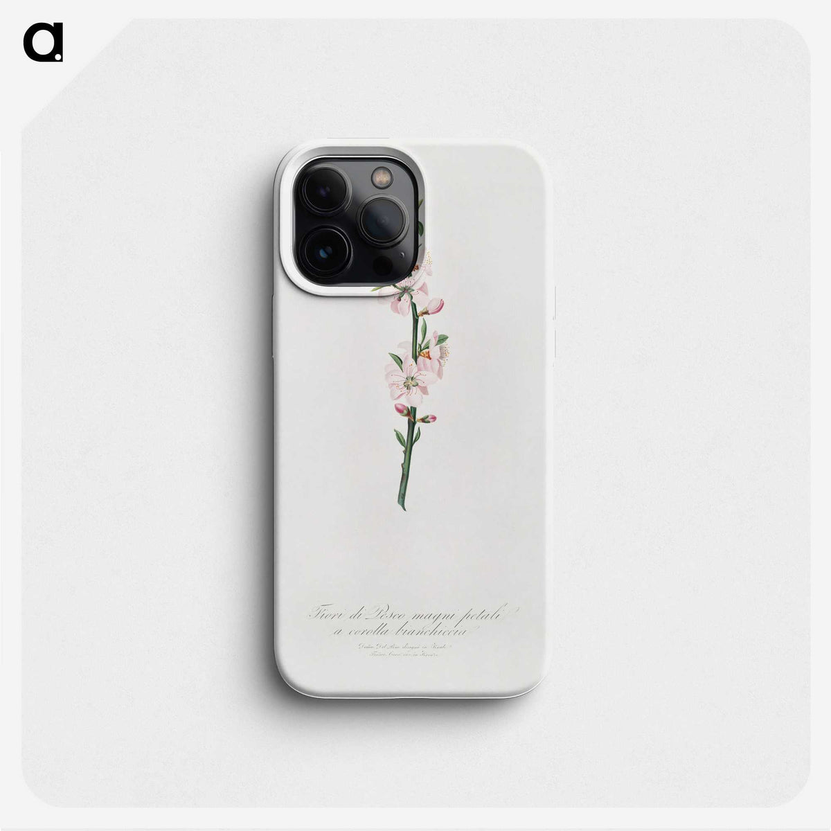 1-48_Pomona-Italiana_phone