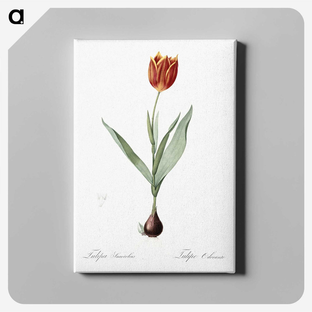1-48_The-Lilies_canvas