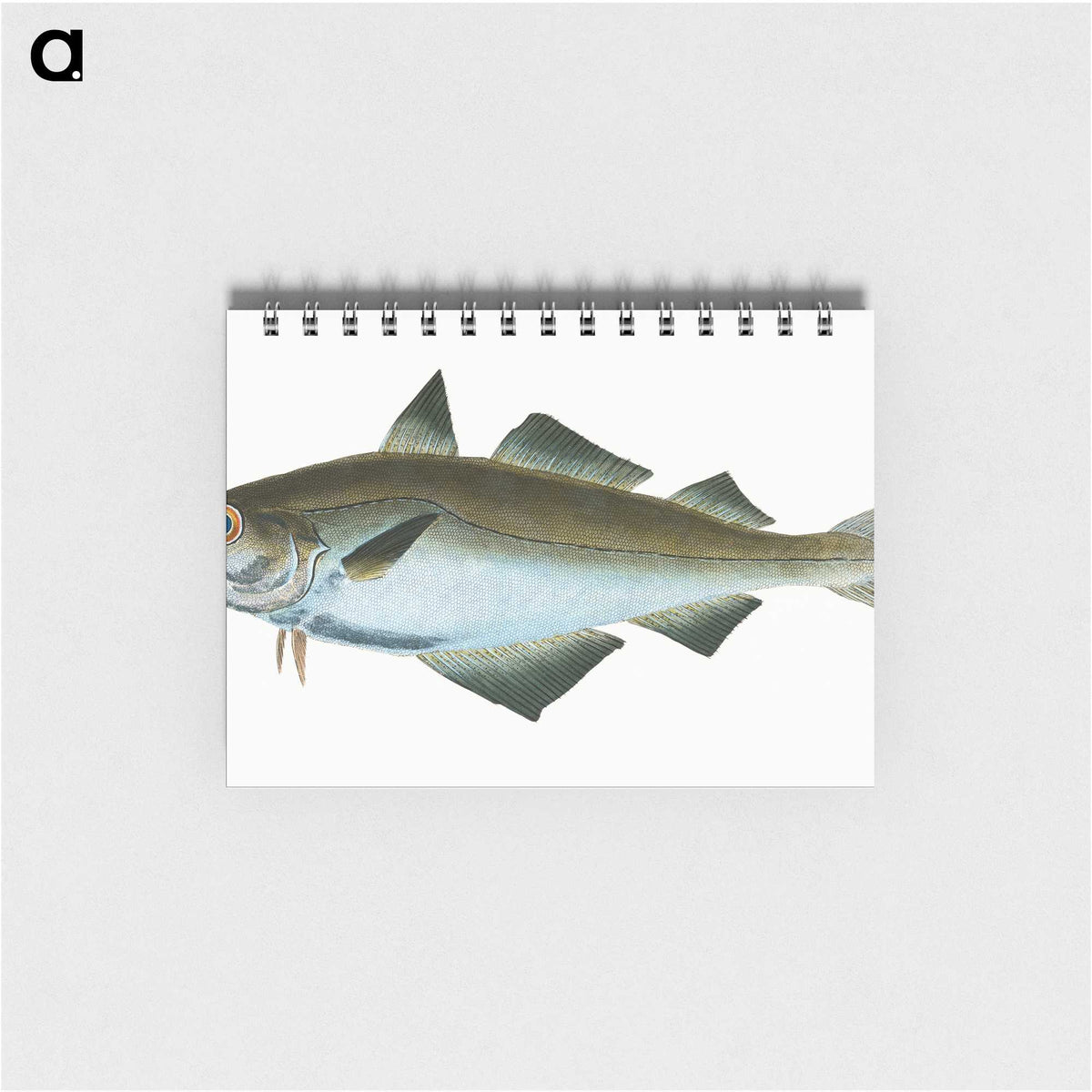 1-48_The-Natural-History-of-British-Fishes_memo
