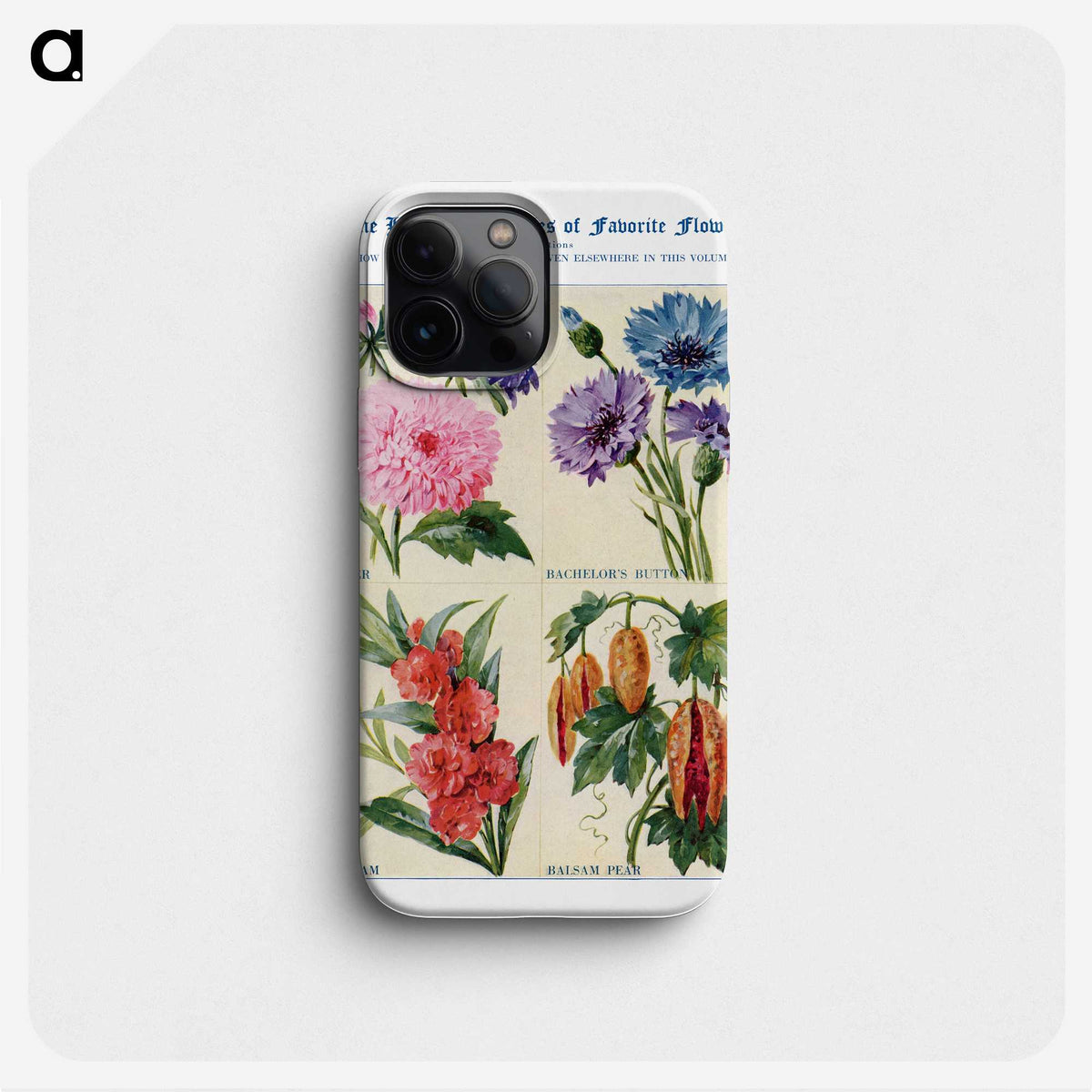 1-48_The-Open-Door-to-Independence_phone