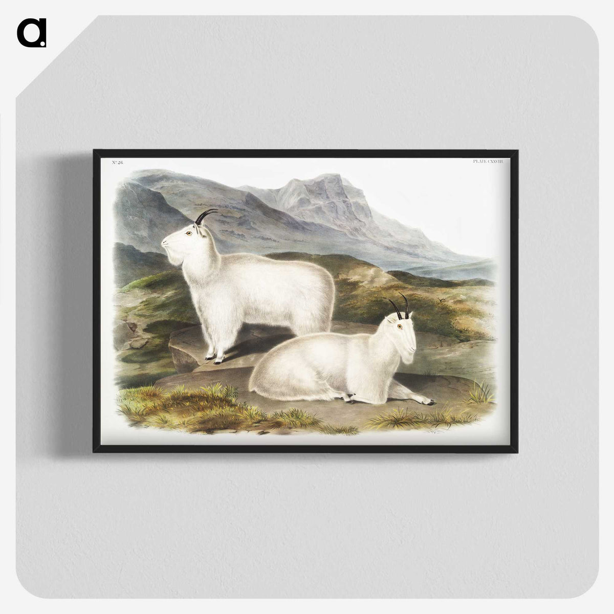 1-48_The-Viviparous-Quadrupeds_blk-crop