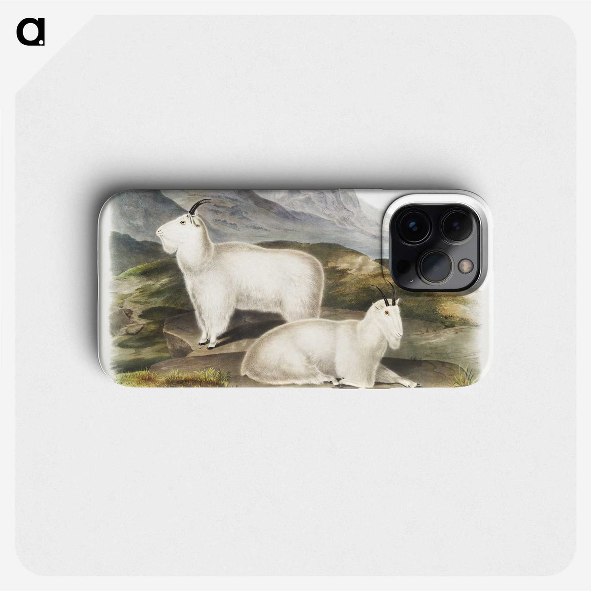 1-48_The-Viviparous-Quadrupeds_phone