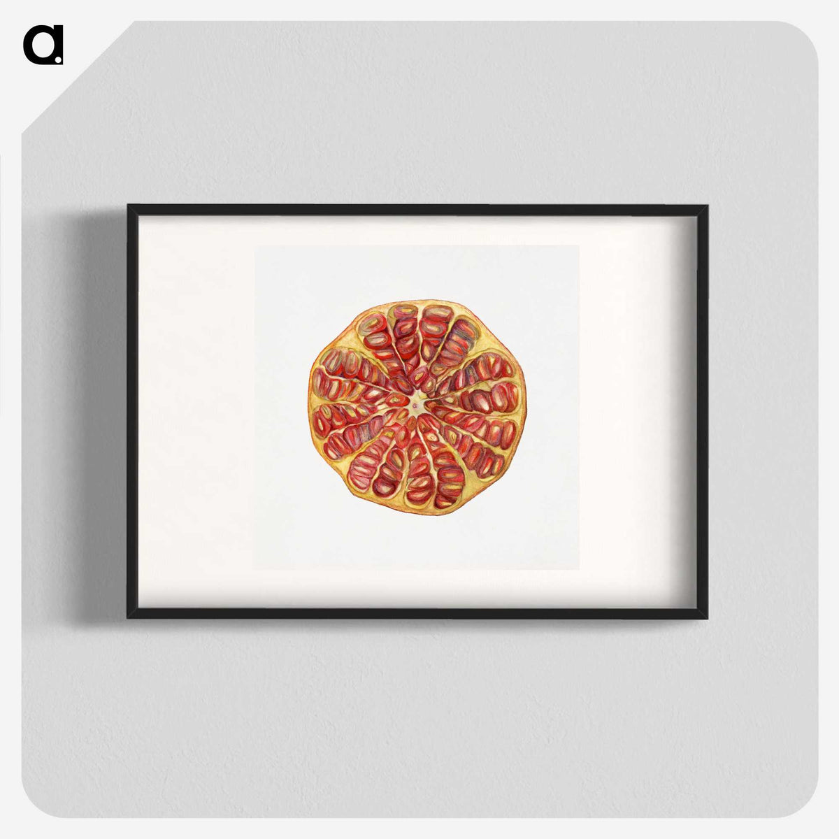 1-48_USDA-Watercolor-Fruit-Painting-Collection_blk