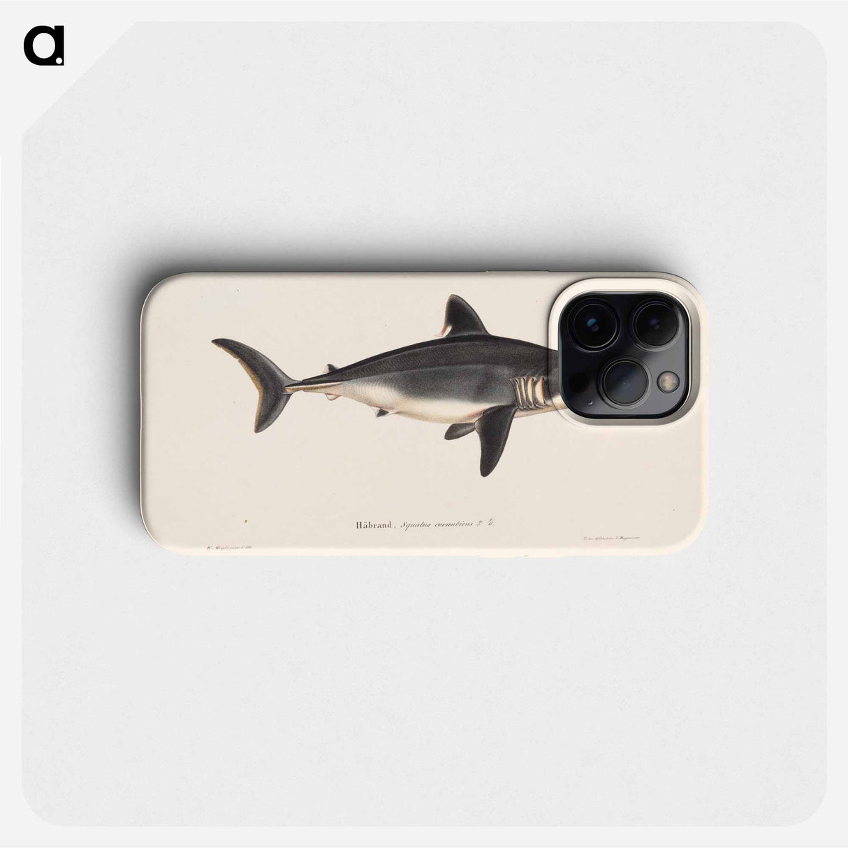 Porbeagle, female by Wilhelm von Wright - Wilhelm von Wright Phone Case.