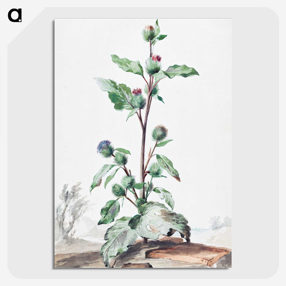 1-49_Aert-Schouman_picture-crop