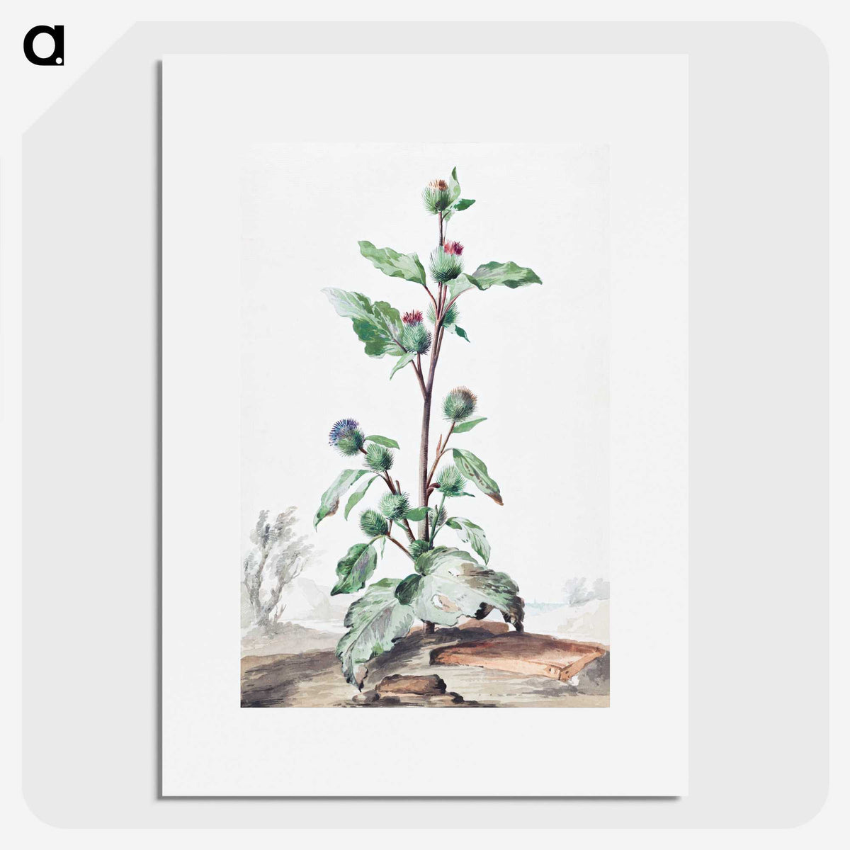 1-49_Aert-Schouman_picture
