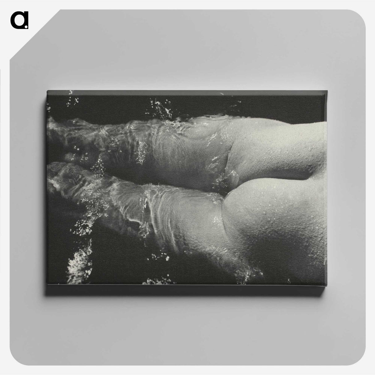 1-49_Alfred-Stieglitz_canvas
